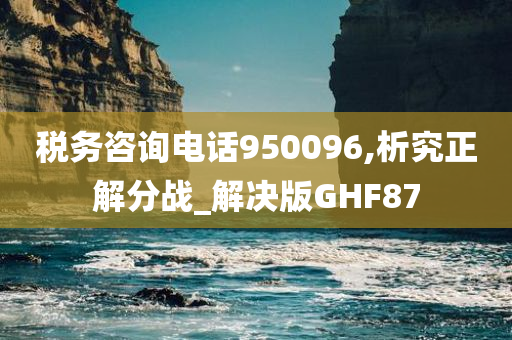 税务咨询电话950096,析究正解分战_解决版GHF87