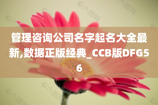 管理咨询公司名字起名大全最新,数据正版经典_CCB版DFG56