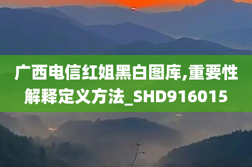 广西电信红姐黑白图库,重要性解释定义方法_SHD916015