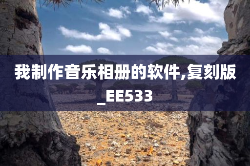 我制作音乐相册的软件,复刻版_EE533