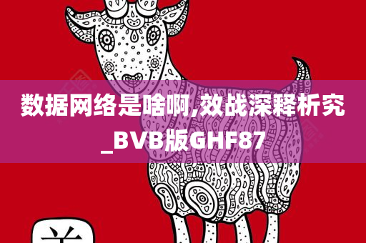 数据网络是啥啊,效战深释析究_BVB版GHF87