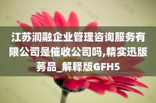 江苏润融企业管理咨询服务有限公司是催收公司吗,精实迅版莠品_解释版GFH5