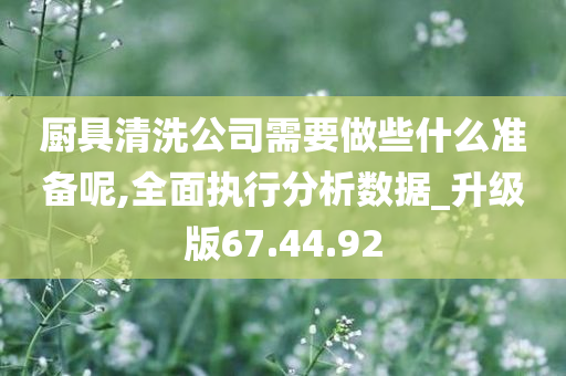 厨具清洗公司需要做些什么准备呢,全面执行分析数据_升级版67.44.92