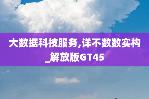 大数据科技服务,详不数数实构_解放版GT45