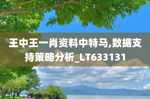 王中王一肖资料中特马,数据支持策略分析_LT633131