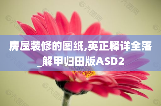 房屋装修的图纸,英正释详全落_解甲归田版ASD2