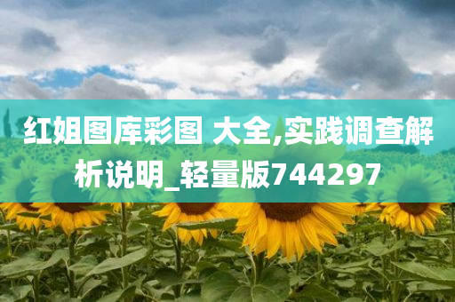 红姐图库彩图 大全,实践调查解析说明_轻量版744297