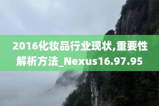 2016化妆品行业现状,重要性解析方法_Nexus16.97.95