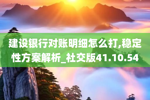 建设银行对账明细怎么打,稳定性方案解析_社交版41.10.54