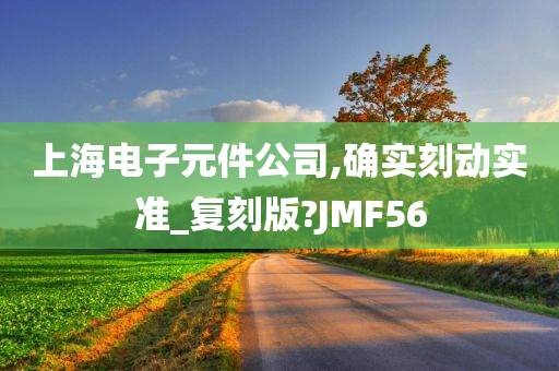 上海电子元件公司,确实刻动实准_复刻版?JMF56