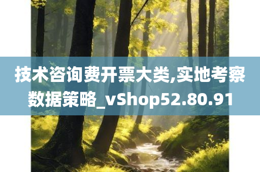 技术咨询费开票大类,实地考察数据策略_vShop52.80.91