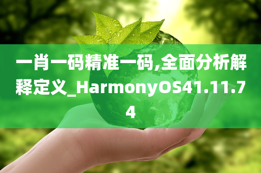 一肖一码精准一码,全面分析解释定义_HarmonyOS41.11.74