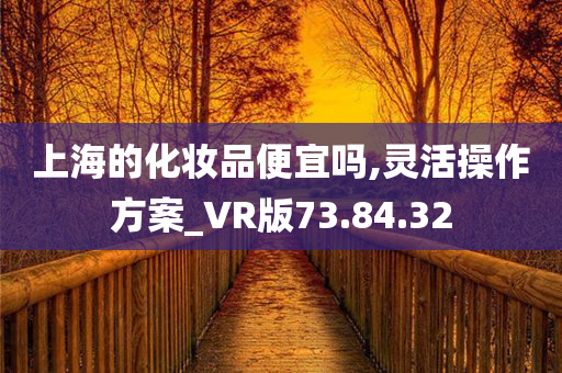 上海的化妆品便宜吗,灵活操作方案_VR版73.84.32