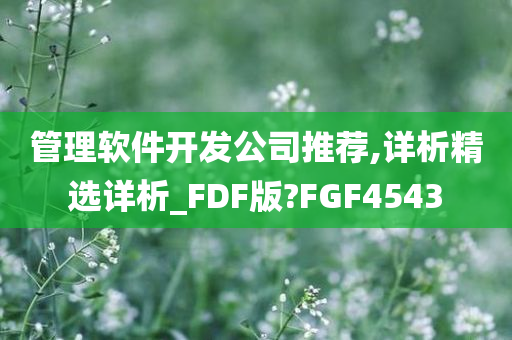 管理软件开发公司推荐,详析精选详析_FDF版?FGF4543