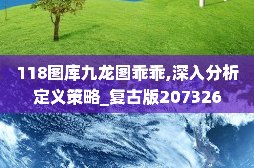 118图库九龙图乖乖,深入分析定义策略_复古版207326