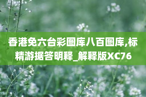 香港免六台彩图库八百图库,标精游据答明释_解释版XC76