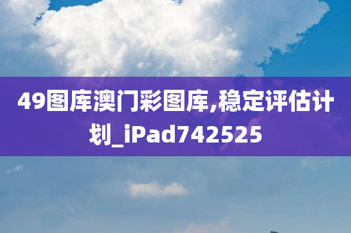 49图库澳门彩图库,稳定评估计划_iPad742525