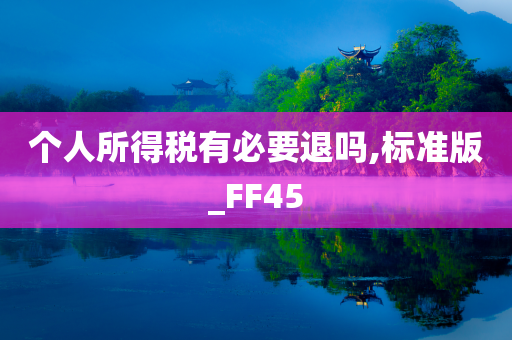 个人所得税有必要退吗,标准版_FF45