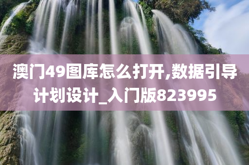 澳门49图库怎么打开,数据引导计划设计_入门版823995