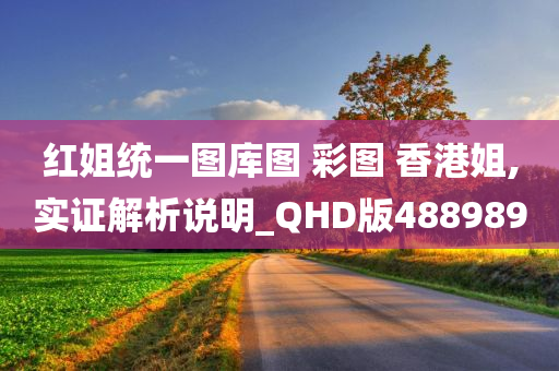 红姐统一图库图 彩图 香港姐,实证解析说明_QHD版488989