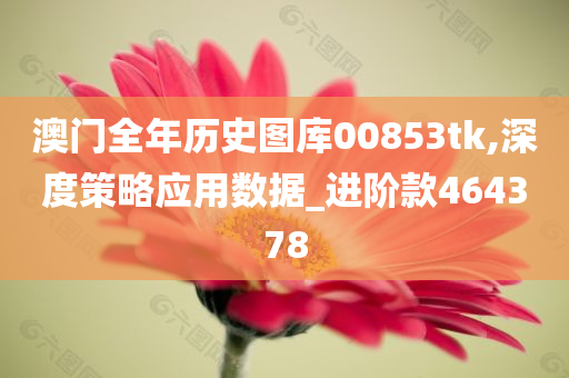 澳门全年历史图库00853tk,深度策略应用数据_进阶款464378