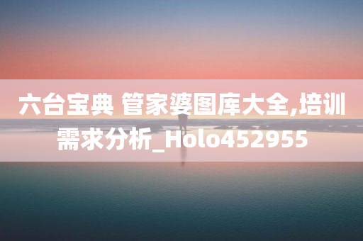 六台宝典 管家婆图库大全,培训需求分析_Holo452955