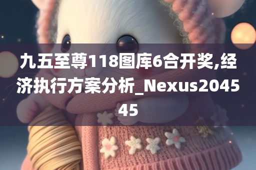 九五至尊118图库6合开奖,经济执行方案分析_Nexus204545