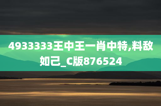 4933333王中王一肖中特,料敌如己_C版876524