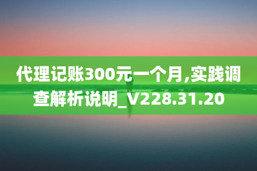 代理记账300元一个月,实践调查解析说明_V228.31.20