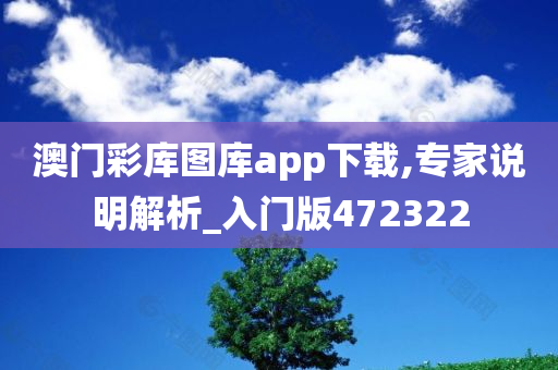 澳门彩库图库app下载,专家说明解析_入门版472322