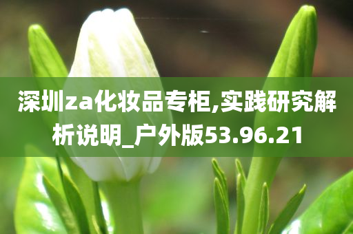 深圳za化妆品专柜,实践研究解析说明_户外版53.96.21