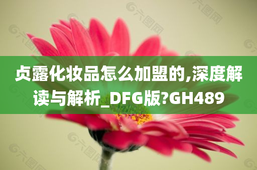 贞露化妆品怎么加盟的,深度解读与解析_DFG版?GH489