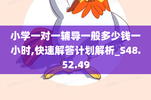 小学一对一辅导一般多少钱一小时,快速解答计划解析_S48.52.49