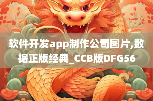 软件开发app制作公司图片,数据正版经典_CCB版DFG56