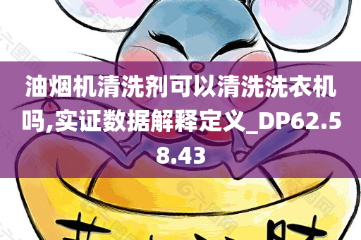 油烟机清洗剂可以清洗洗衣机吗,实证数据解释定义_DP62.58.43