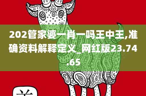 202管家婆一肖一吗王中王,准确资料解释定义_网红版23.74.65