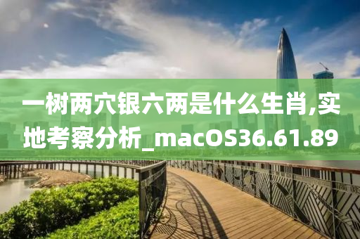 一树两穴银六两是什么生肖,实地考察分析_macOS36.61.89