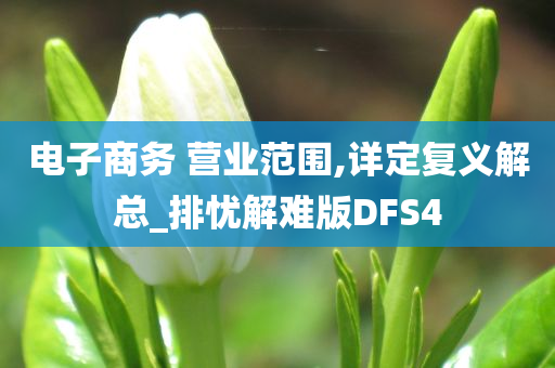 电子商务 营业范围,详定复义解总_排忧解难版DFS4