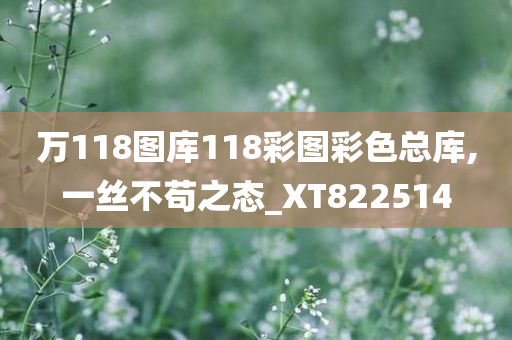 万118图库118彩图彩色总库,一丝不苟之态_XT822514