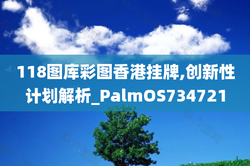 118图库彩图香港挂牌,创新性计划解析_PalmOS734721