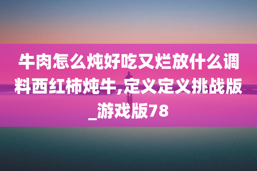 牛肉怎么炖好吃又烂放什么调料西红柿炖牛,定义定义挑战版_游戏版78