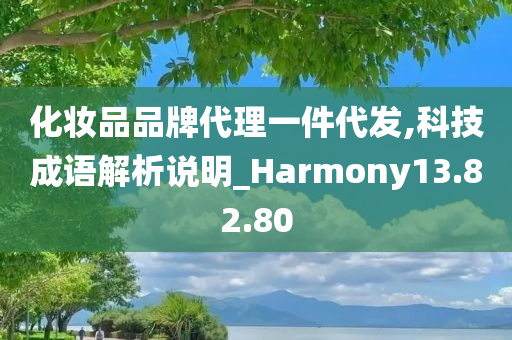 化妆品品牌代理一件代发,科技成语解析说明_Harmony13.82.80