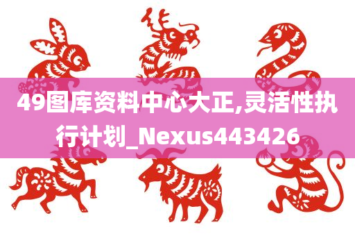 49图库资料中心大正,灵活性执行计划_Nexus443426