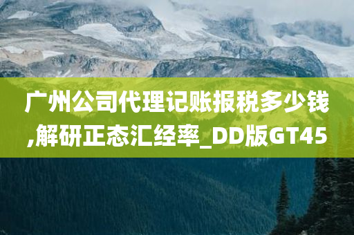 广州公司代理记账报税多少钱,解研正态汇经率_DD版GT45