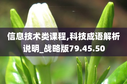 信息技术类课程,科技成语解析说明_战略版79.45.50