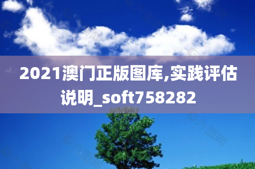 2021澳门正版图库,实践评估说明_soft758282