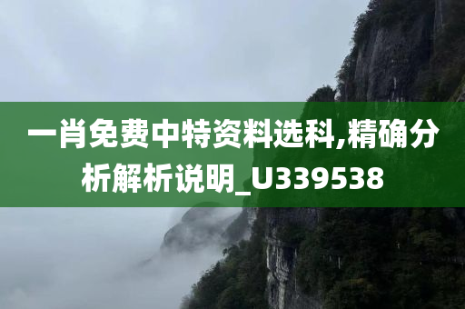 一肖免费中特资料选科,精确分析解析说明_U339538