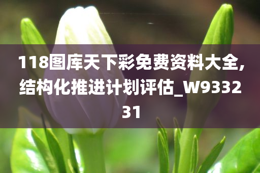 118图库天下彩免费资料大全,结构化推进计划评估_W933231