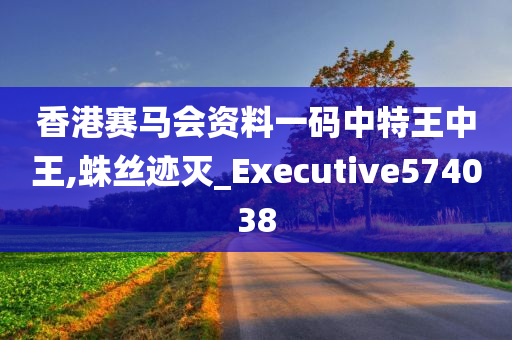 香港赛马会资料一码中特王中王,蛛丝迹灭_Executive574038