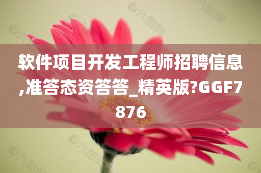 软件项目开发工程师招聘信息,准答态资答答_精英版?GGF7876